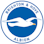 Icon: Brighton & Hove Albion